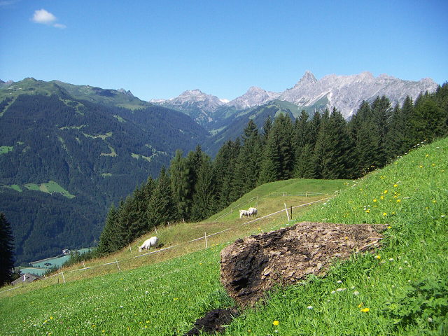 Historische Abraumhalde des Bergbaus bei Bartholomäberg mit Blick ins Montafon