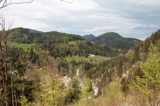 Blick in das Almbachtal bei Faistenau mit bewaldeten Hängen