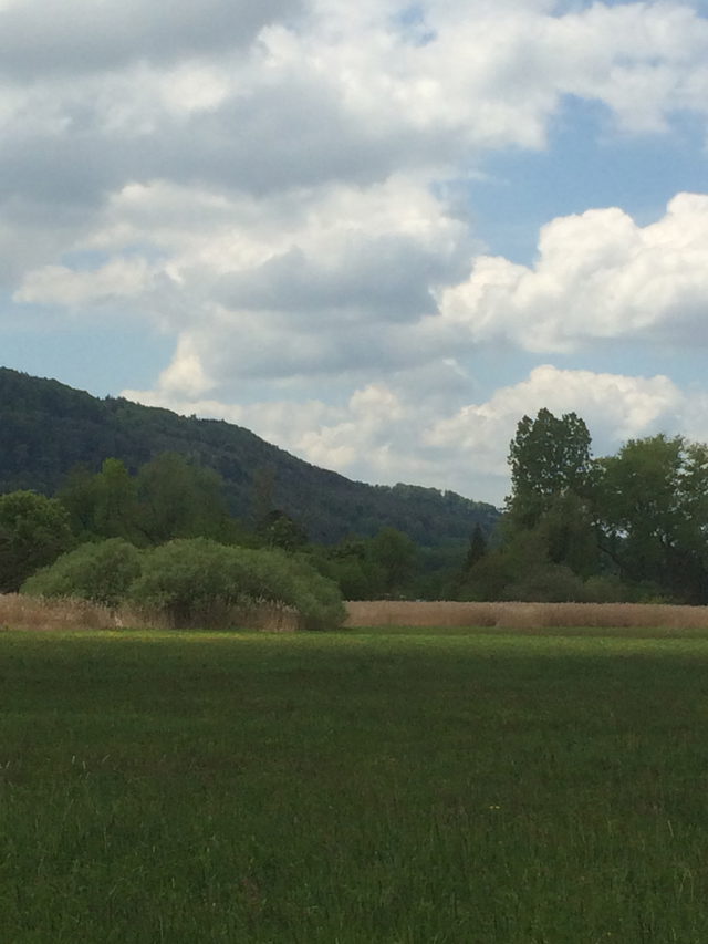 Wiesen im Bohlinger Aachried mit Blick zum Schienerberg