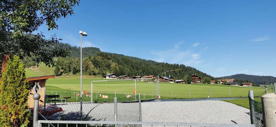 Mittermoosen-Rundwanderung – vom Penningberg zum Mittermoosen See
