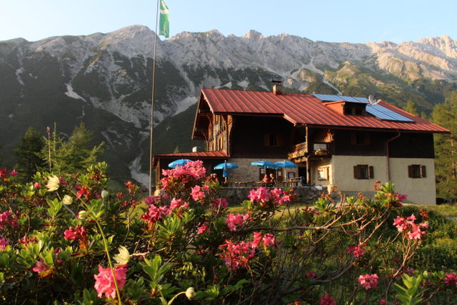 Blumen vor dem Hallerangerhaus im Karwendel