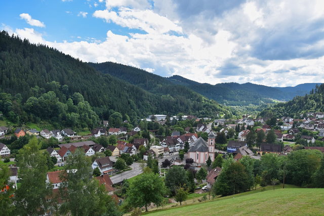 Blick über Schenkenzell im Kinzigtal