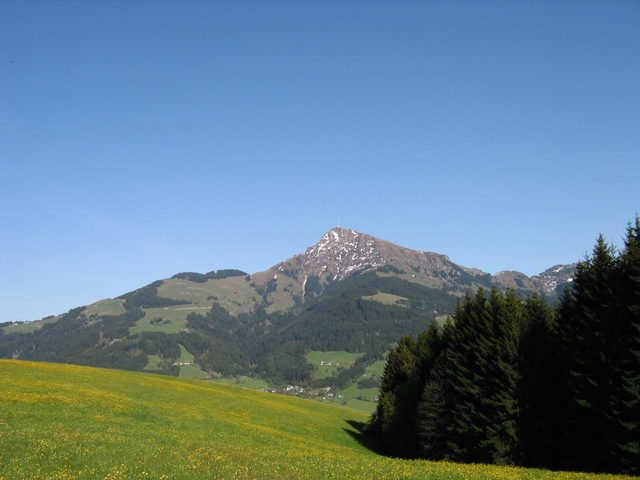 Kitzbüheler Horn vom Bichlach aus