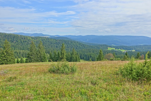 Aussicht über die Wiesenlandschaft bei Ibach im Schwarzwald