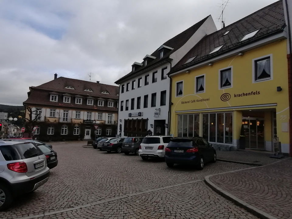 Cego-Kurs und Cego-Turnier