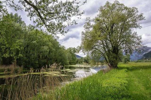 Auwald und Wasserflächen im Naturschutzgebiet Gaisau bei Hatting