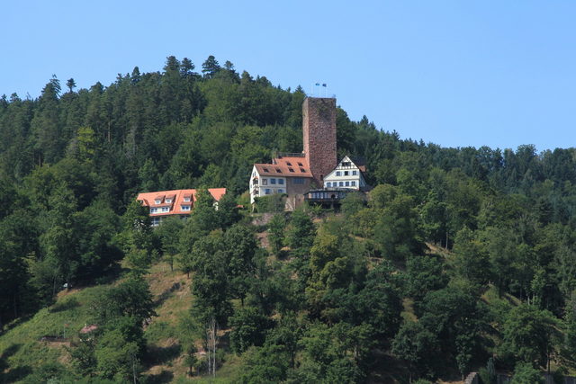 Burg Liebenzell am bewaldeten Hang über Bad Liebenzell