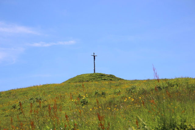 Grasbewachsener Gipfel des Hinteren Hörnles mit Gipfelkreuz vor blauem Himmel