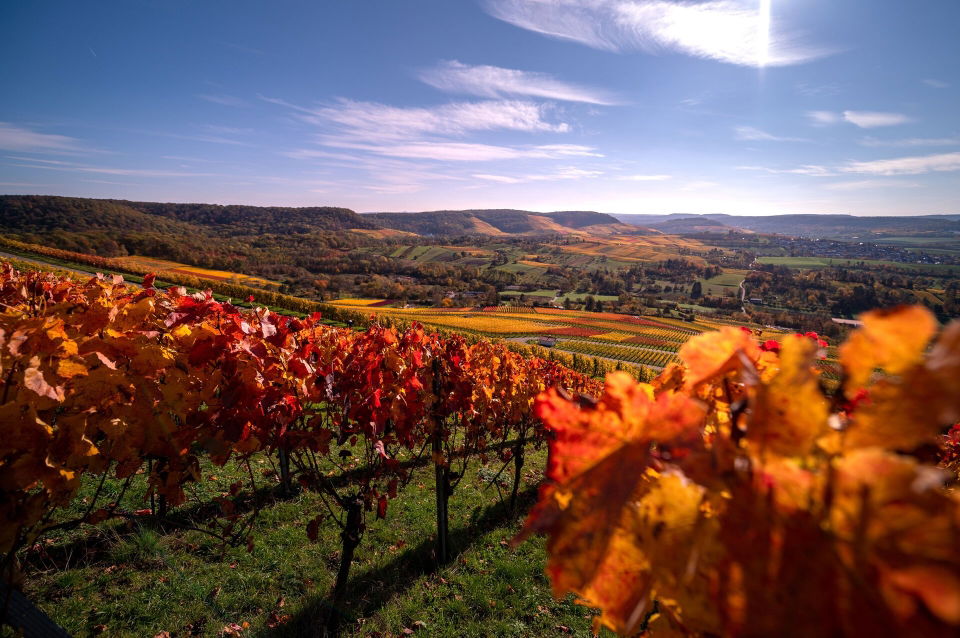 Scheuerberg Neckarsulm – Gipfelkreuz und Ausblick über das Neckartal