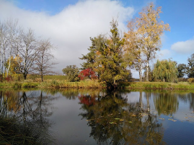 Schleienloch im Naturschutzgebiet Rheindelta mit herbstlichen Uferbäumen