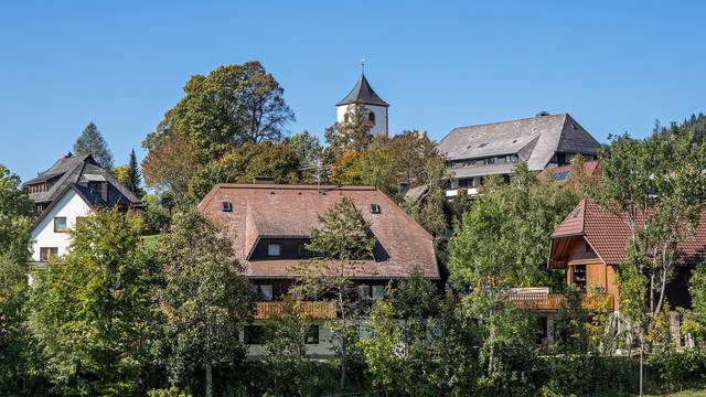 Rund um die östlichen Schwarzwaldhöhen: Familienrätsel und Waldwissen