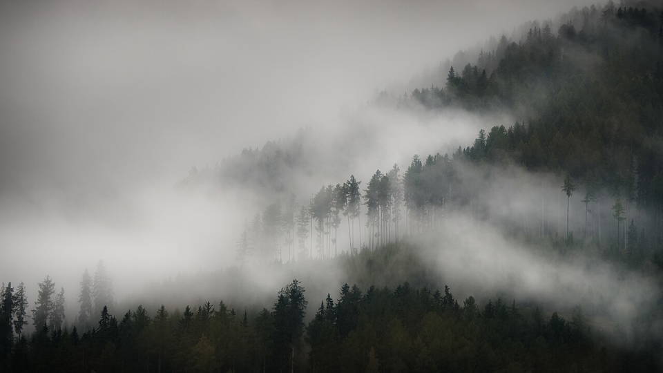 Umgebungsmotiv: Nebel zwischen bewaldeten Berghängen bei Pfunds