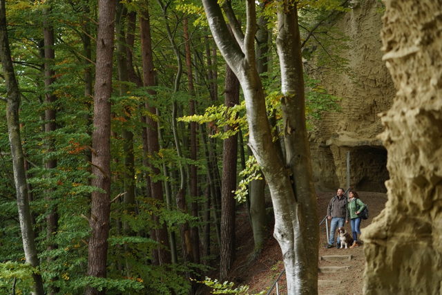 Wanderer am Waldweg entlang der Stockacher Heidenhöhlen