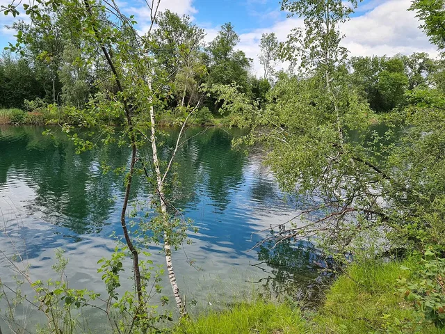 Alter Rhein bei Hohenems und Diepoldsau.