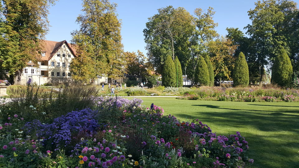 Hofgarten Öhringen – barocke Alleen, alte Bäume und grüne Ruheplätze
