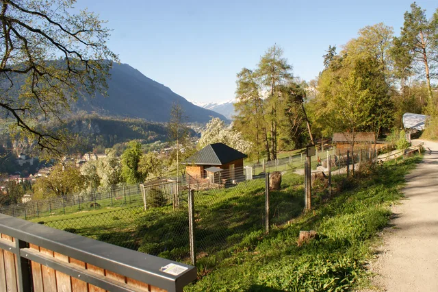 Ländliche Berglandschaft mit Weg, Zäunen und kleinen Holzhäuschen