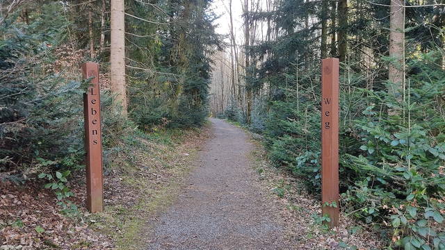 Dreisamtal mit Kindern: Rätsel, Bauernhöfe und kleine Entdeckertouren