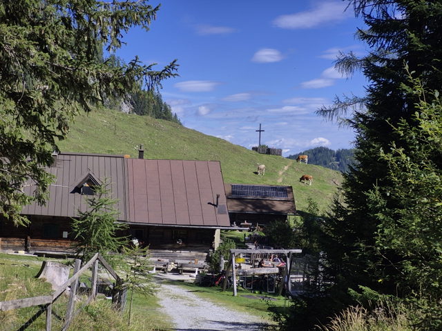 Niggeltalalm bei Großarl
