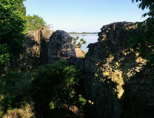 Ruinen der Steinmauer am Bodensee, von Bäumen umgeben, Blick auf den See