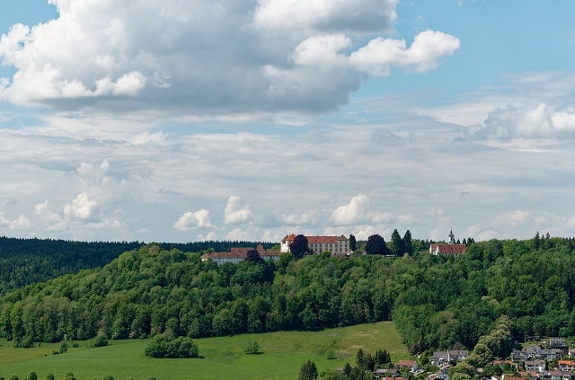Schloss Zeil oberhalb bewaldeter Hänge und des Ortes Unterzeil