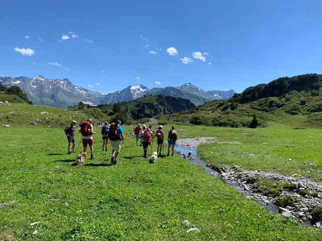 Wandergruppe mit Hunden auf einer Almwiese neben einem Bach