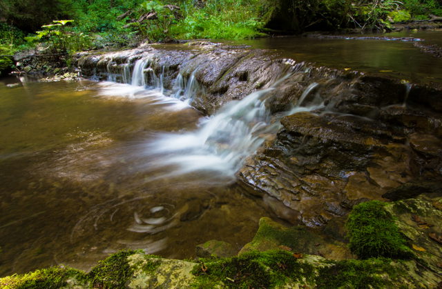 Kaskade im Naturschutzgebiet Wutachschlucht zwischen bewaldeten Felsen
