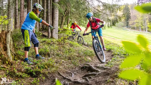 Fahrtechniktraining an einer Wurzelpassage mit Trainer und zwei Teilnehmenden