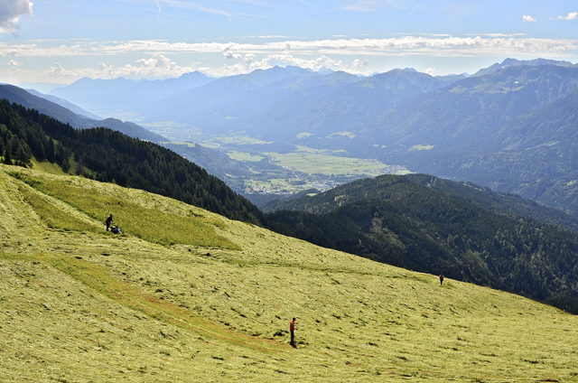 Bergwiesen und Heumahd auf der Mussen
