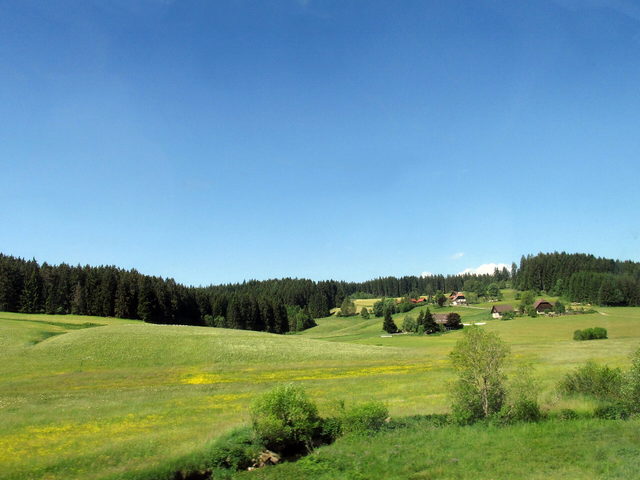 Wiesen und Wald bei St. Georgen im Schwarzwald