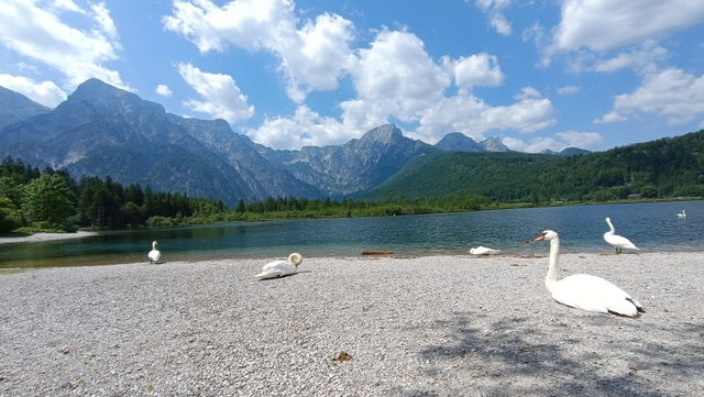 Blick vom Almsee auf die umliegende Berglandschaft