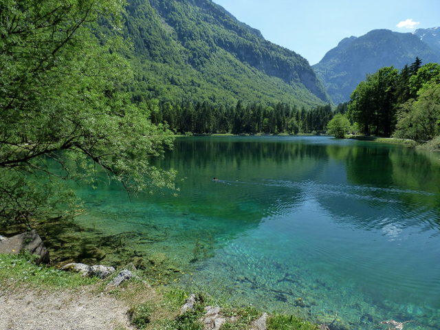 Oberer Bluntausee im bewaldeten Bergtal