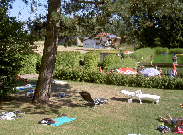 Naturwaldbad Tiefenbach mit Wasserfläche und Ufer