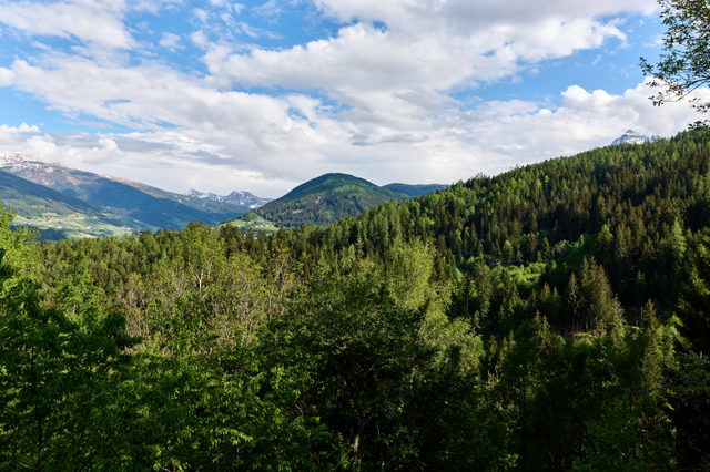 Wald- und Berglandschaft von Kreith in Mutters aus gesehen