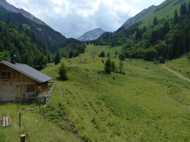 Wiesen und bewaldete Berghänge im Sommerbergbachtal bei Fallerschein