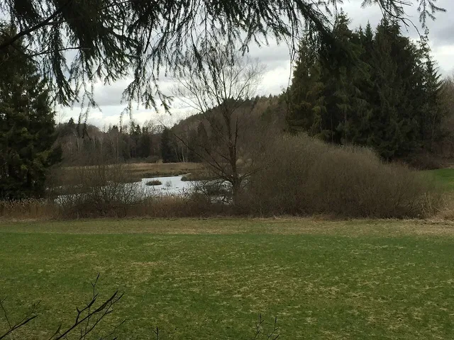 Landschaft mit Grasflächen, Teich im Hintergrund, umgeben von Bäumen.