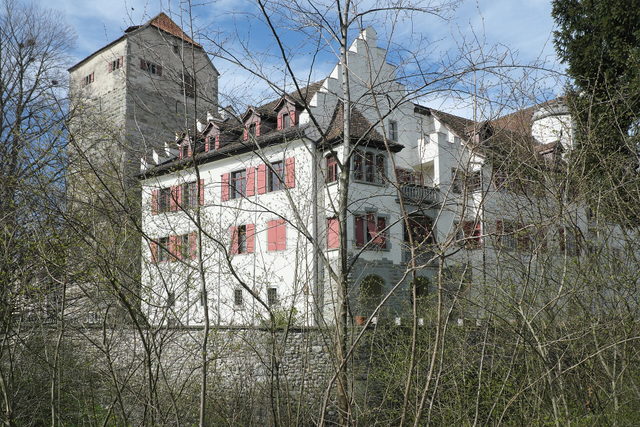 Schloss Arbon mit Turm und roten Fensterläden hinter kahlen Bäumen