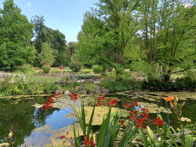Teich mit Sommerblumen und Bäumen im Park Friedrichsau in Ulm