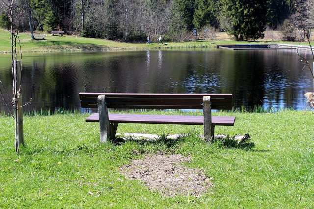 Moorweiher in Buchenberg mit Sitzbank und grünen Ufern