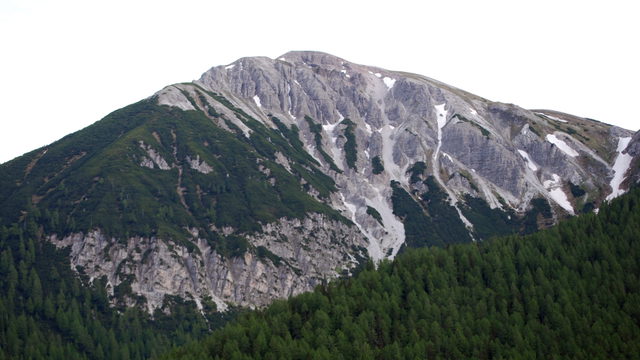 Blaser von Norden über grünem Bergwald mit einzelnen Schneefeldern