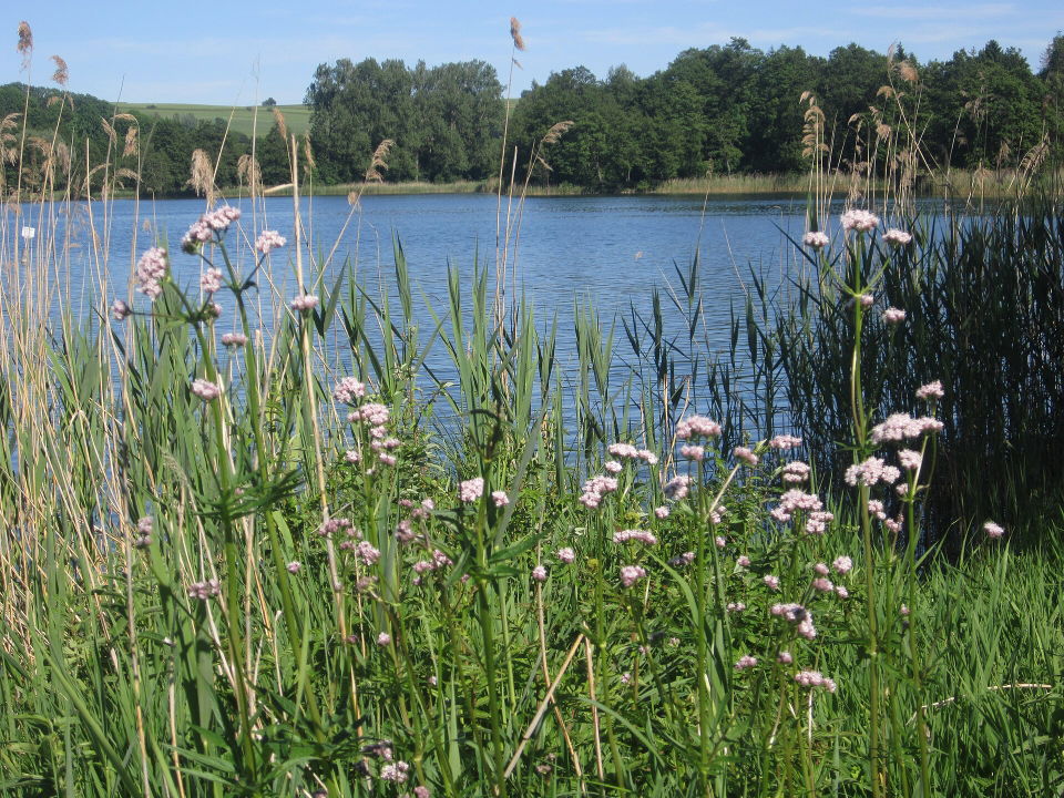 Familienerlebnisse in Illmensee – Seebad, Minigolf und Bewegung am Wasser