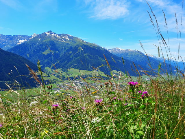 Blick auf Mittersill vom Stuhlfeldner Sonnberg als regionales Kontextmotiv der Hörgeralm-Runde