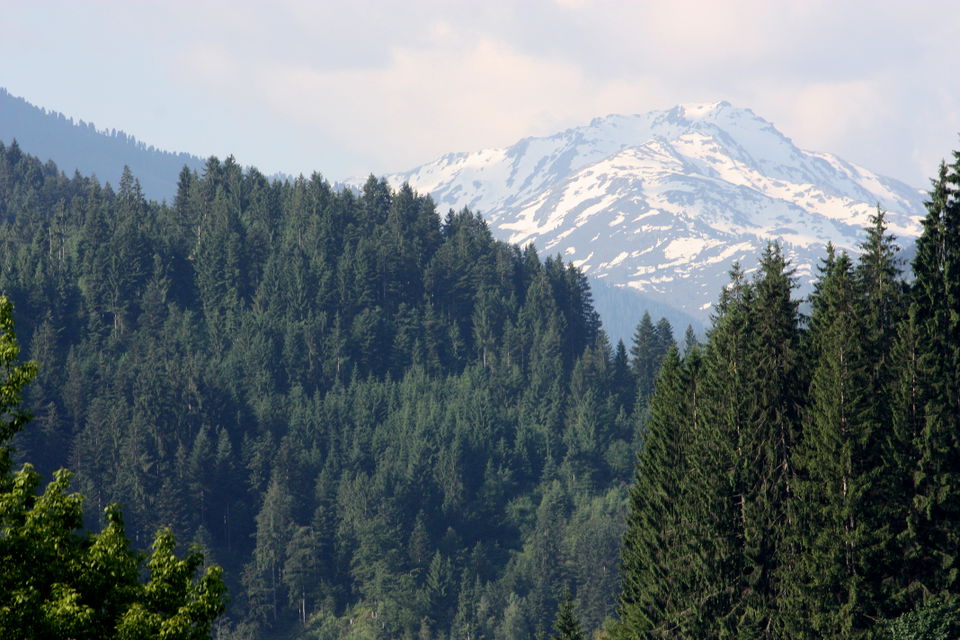 Regenfeld-Runde in der Kelchsau – über Öfeleralm und Foissachalm