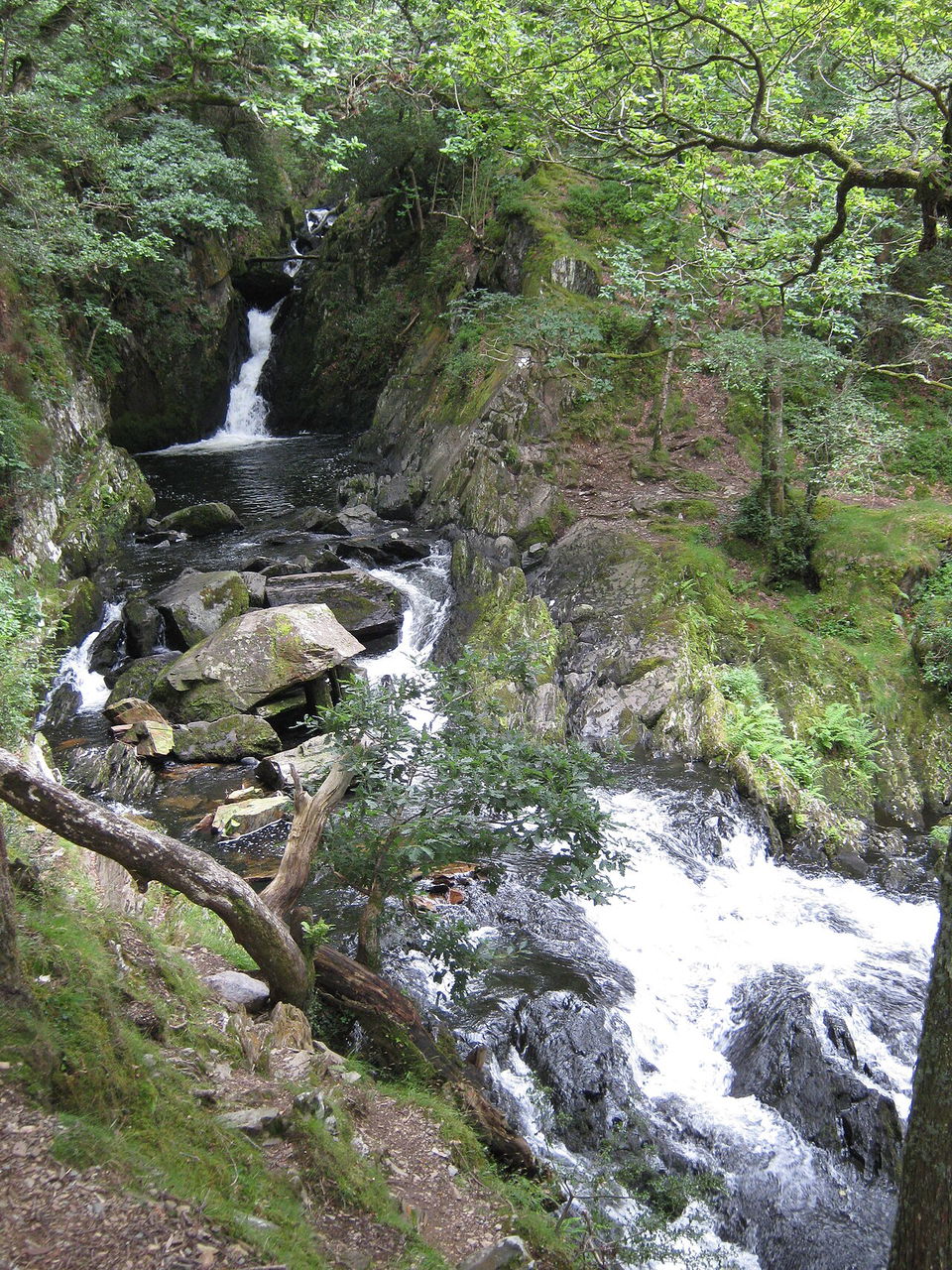 Hägerauer Wasserfall bei Steeg – kurzer Weg zum Schreiterbach