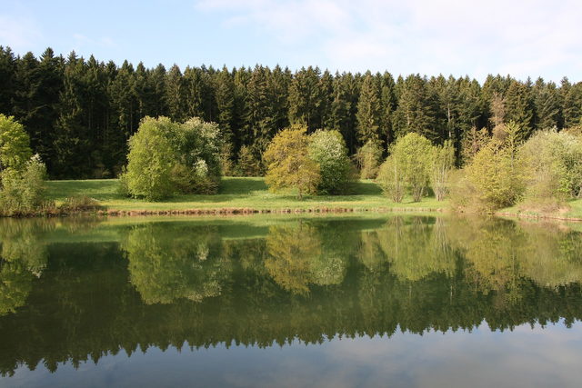 Der Tumlinger See mit seinem bewaldeten Ufer im Waldachtal.