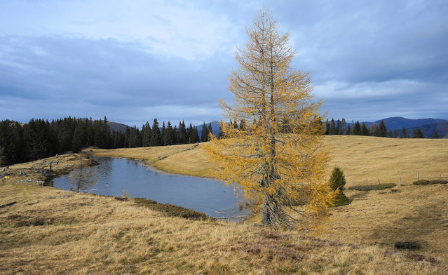 Schwarzsee am Verditz in den Kärntner Nockbergen