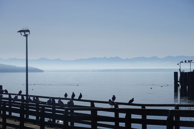 Blick von der Seepromenade in Starnberg auf den Starnberger See