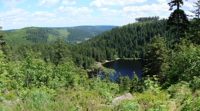 Glaswaldsee zwischen bewaldeten Hängen