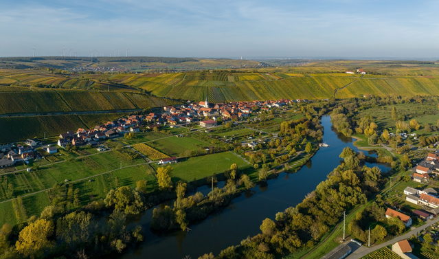 Main und Weinberge bei Escherndorf unterhalb der Vogelsburg
