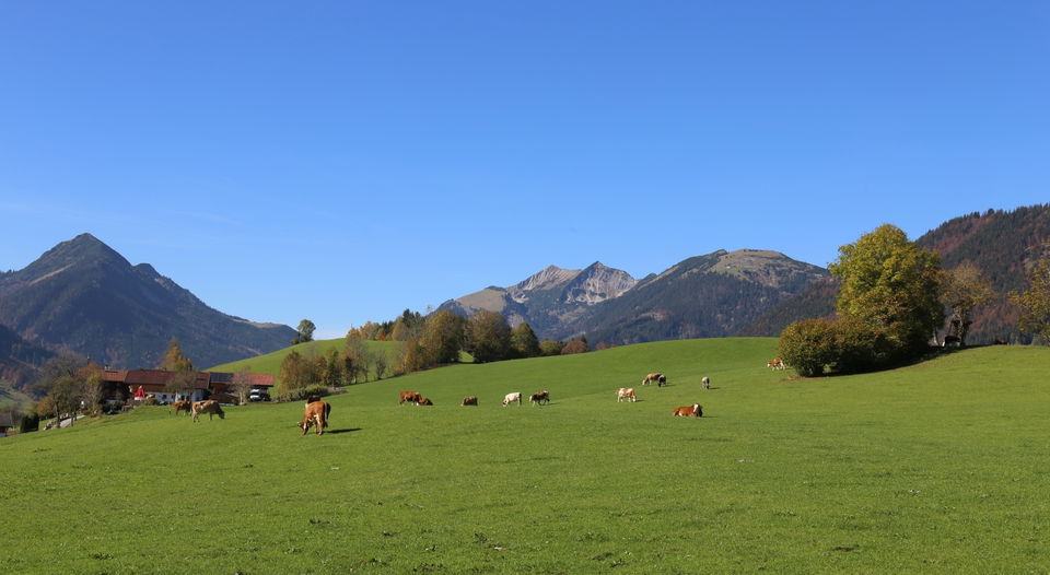 Sonnberg-Tour 329 – Mountainbike-Runde ab Landl Richtung Trainsalm