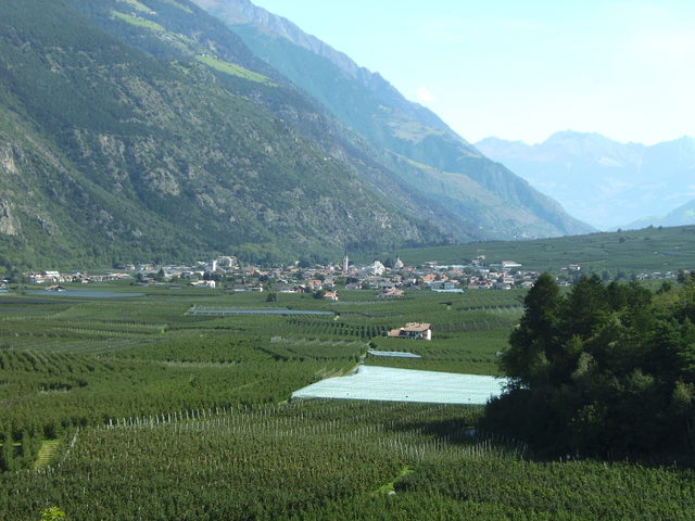 Latsch zwischen Obstgärten und den Hängen des Vinschgaus